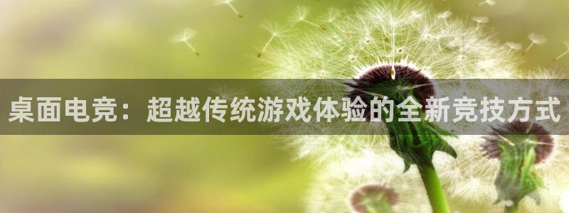威客电竞官网